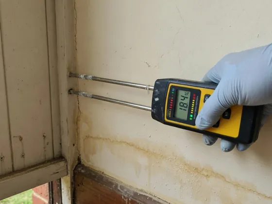 Moisture-meter reading at skirting level — what a rising damp inspection looks like, Brisbane Queenslander