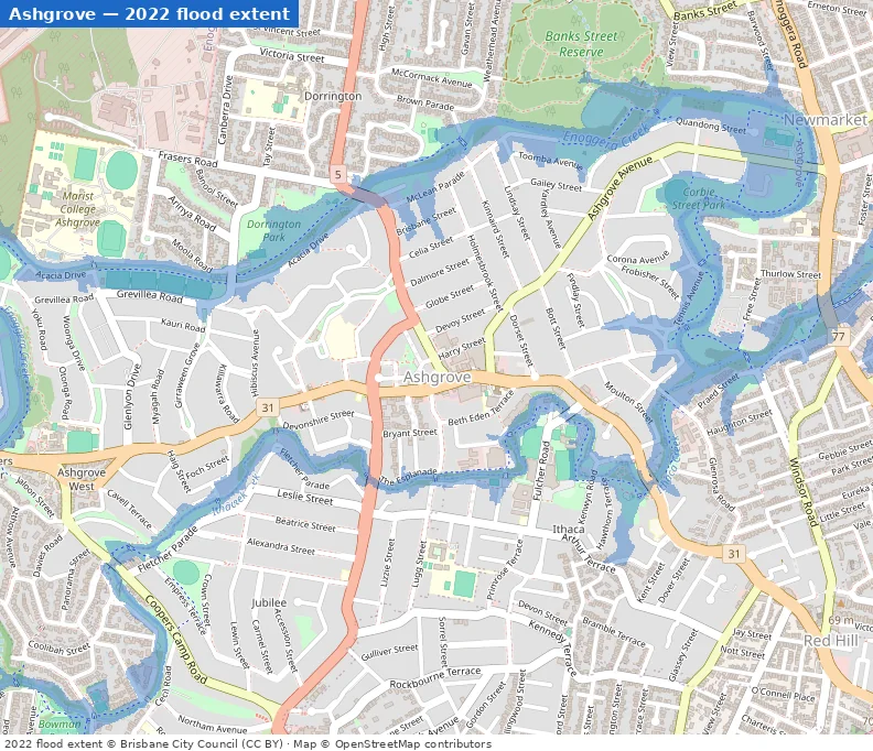 Ashgrove February 2022 flood extent map (Brisbane City Council data)
