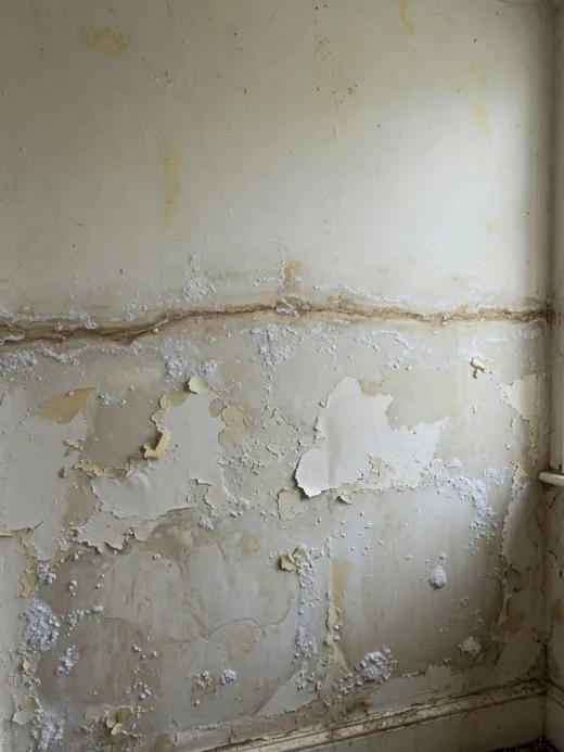Rising damp salt tide-mark about a metre up an interior wall with peeling paint below